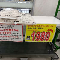 【暮しは防衛】ラッキー｢備蓄米｣！並ばず購入