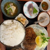 18日目⭐️曇天のお散歩☁️🚶‍♀️