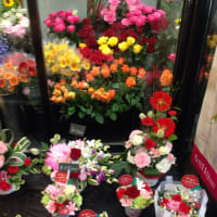 母の日、花注文まだ間に合います。