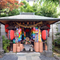 向井芳幸のブログ