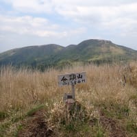 九重山系 2025.05.14 泉水山・大崩ノ辻・黒岩山・猟師山