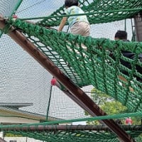 念願かなって