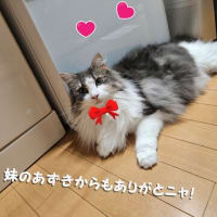 来客