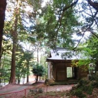 下関市豊田町「神上寺」⑤＆自然の風景