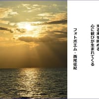 光る海
