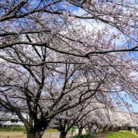 奥能登の診断士