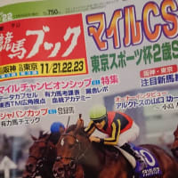 へらへらしたヘラ 殿 しんがり 追走ハラヤマジツコ へらへらしたヘラ 殿 しんがり 追走ハラヤマジツコ