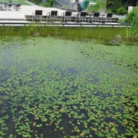 立川散策３