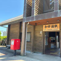 未開の山の整備〜野生を感じるリトリートに向けて〜