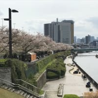 旧中川コース＆花見６回目　４月11日