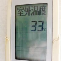 2025/6/17の朝の東京スカイツリー
