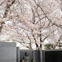 20250406 いづみ霊園永代供養墓しおんの合同法要が開催されました