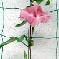 終日雨でした！