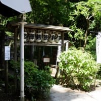 箱根フリープラン３日間の旅を楽しむ