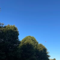 朝6時から歩き始める