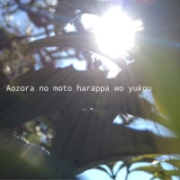 光のつぶつぶ