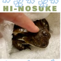 コール花梨 きらくえんコンサート