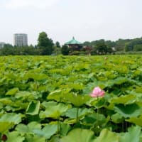 7/7おつかれさまでした。。。