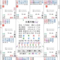 八代亜紀さんの紫微斗数命盤カルテ