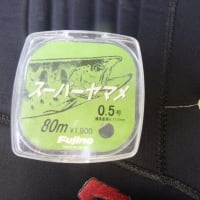 天龍SRマスター96ML - 竹心の魚族に乾杯