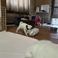 2人生活