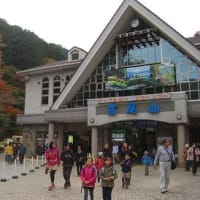 高尾山に紅葉を見に！　2014・11・17