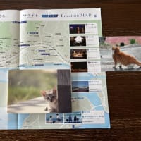 封切り初日に「リライト」