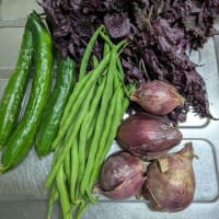 野菜が届きました。