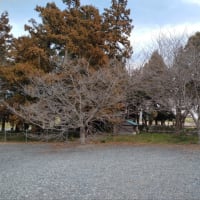 旧大里村　玉作八幡神社