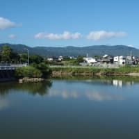 油山市民の森　～自然観察会のお手伝いで～　2024/08/11　