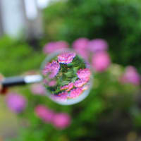 虫メガネで宙玉