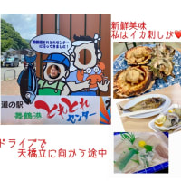 3日目はちょっとロングドライブで天橋立へ､､､