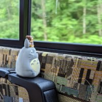 トトロと一緒にバス🚌の旅