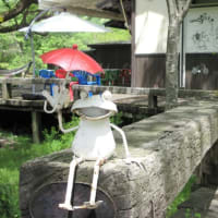 アルプホルンと競走馬