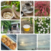 巳年の巳の月巳の日