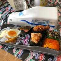電車型の駅弁 3種