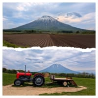 観光のお仕事❣️339