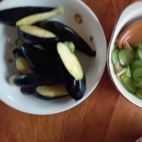 我が家の