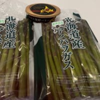 アスパラガスがやってきた！