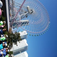 横浜マラソン　楽しかったです！