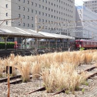 No.2265　養老鉄道で大垣へ