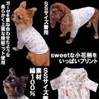 新作入荷のお知らせ＾＾