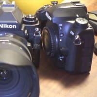Nikon D780-Df