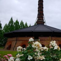 2025年5月下旬「とある施設に咲くバラ」を記録してきた。②
