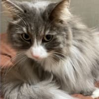 ８歳のルルちゃん