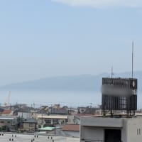 蒸し暑い日が続きます。