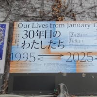 「30年目のわたしたち」