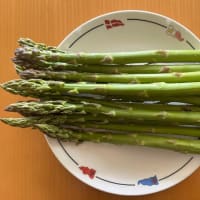 自家菜園から