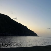 釣り見てました🎣