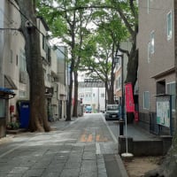 梅雨の晴れ間の鬼子母神参道